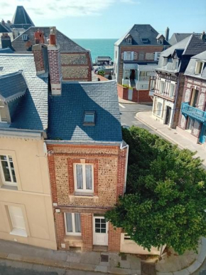 Le nid de goélands